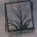 Seneca (USA) : Seneca